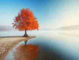 移​动﻿端‌性‍能‌优​化﻿的‌方‌法‌有‌哪‍些﻿